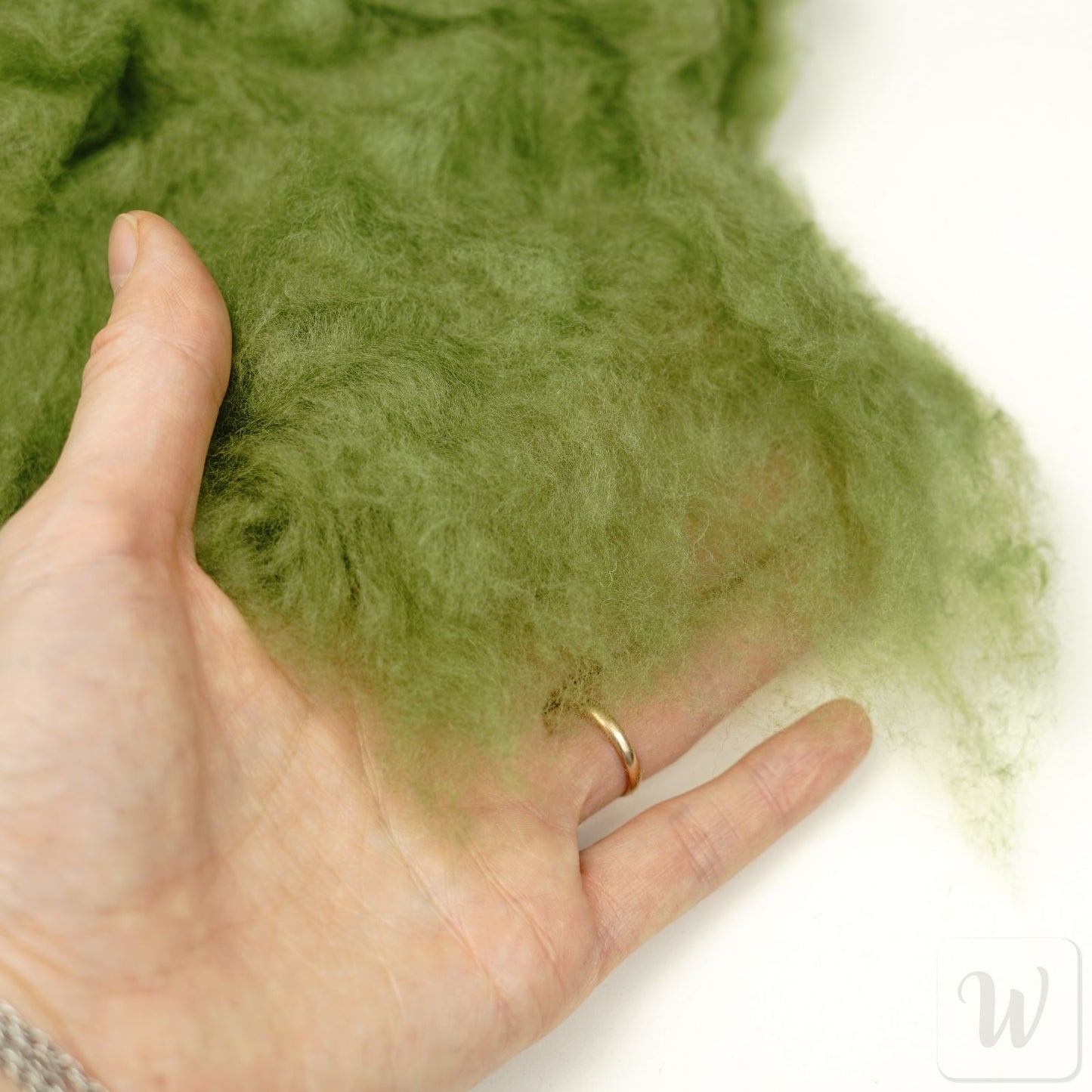 Extra Fine Carded Merino Wool / Ivy / Super Soft Felting Wool / 50g / 19 microns / Perfect for Delicate and Detailed felting / DHG