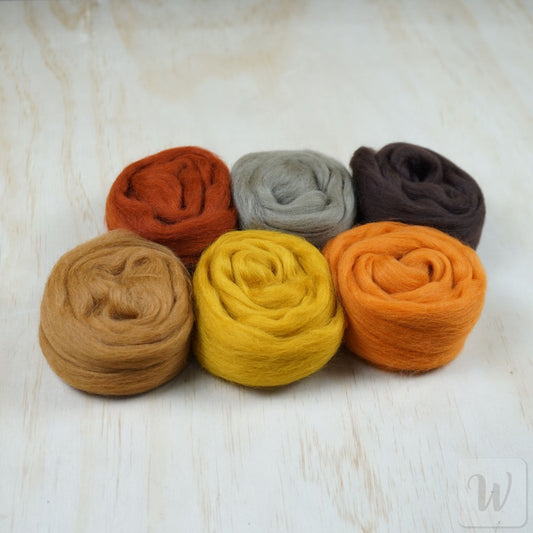 Corriedale wool tops set featuring 6 vibrant fall colours, soft roving arranged to show autumn colour palette