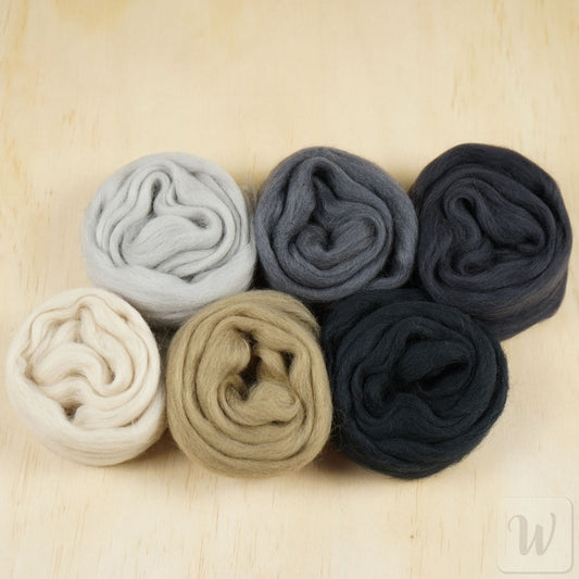 Corriedale wool tops set featuring 6 vibrant earth tone colours, soft roving arranged to show natural colour palette
