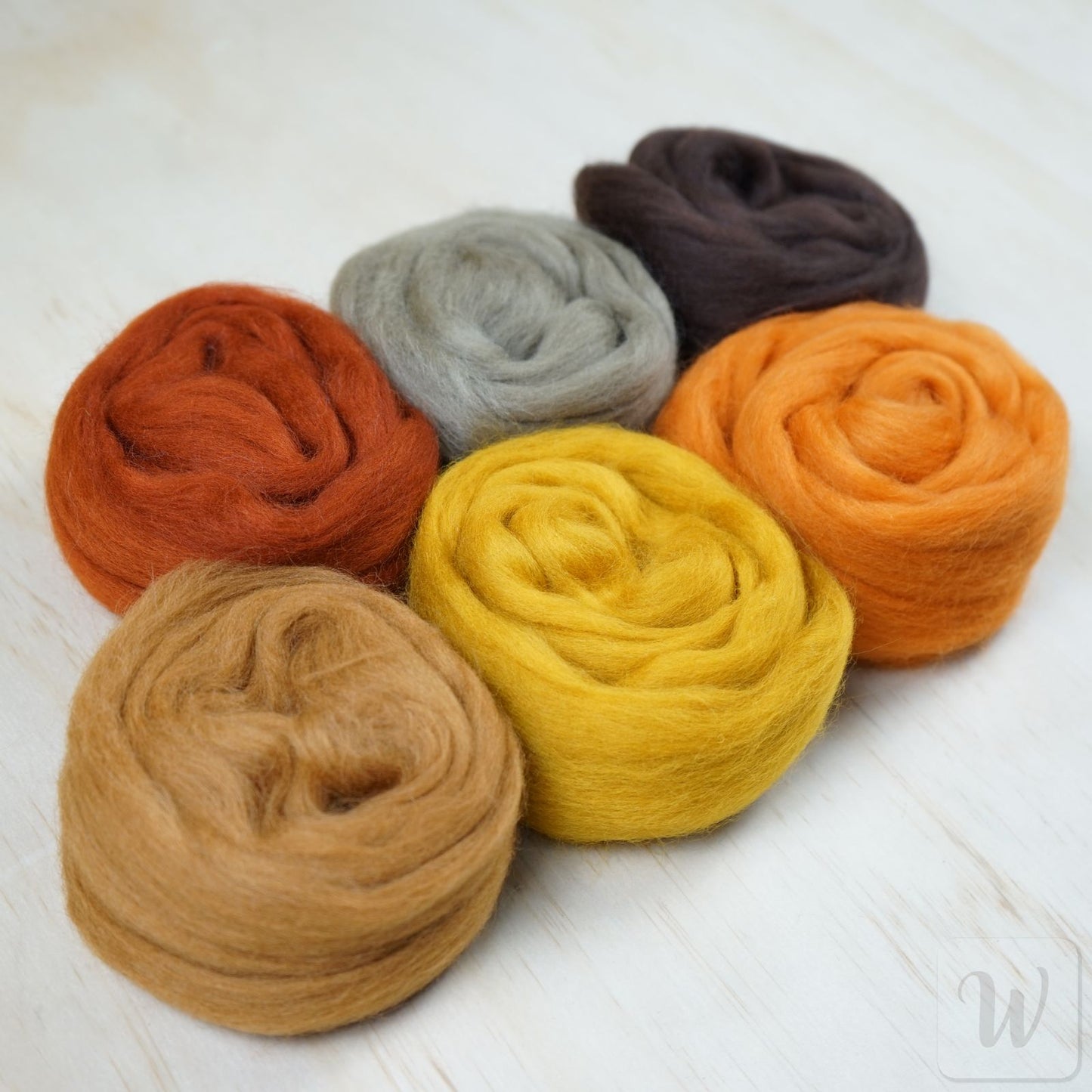 Corriedale Wool Tops Set 6 Colours - Fall Mix / bright and soft wool for needle and wet felting and spinning / 27 microns / long staple / DHG