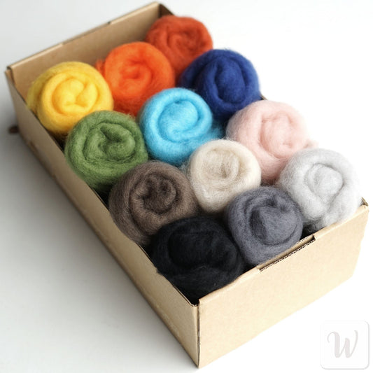 Extra Fine Merino 12 Colours Wool Set / Super Soft Carded Felting Wool / 19 microns / Perfect for Delicate and Detailed felting / DHG