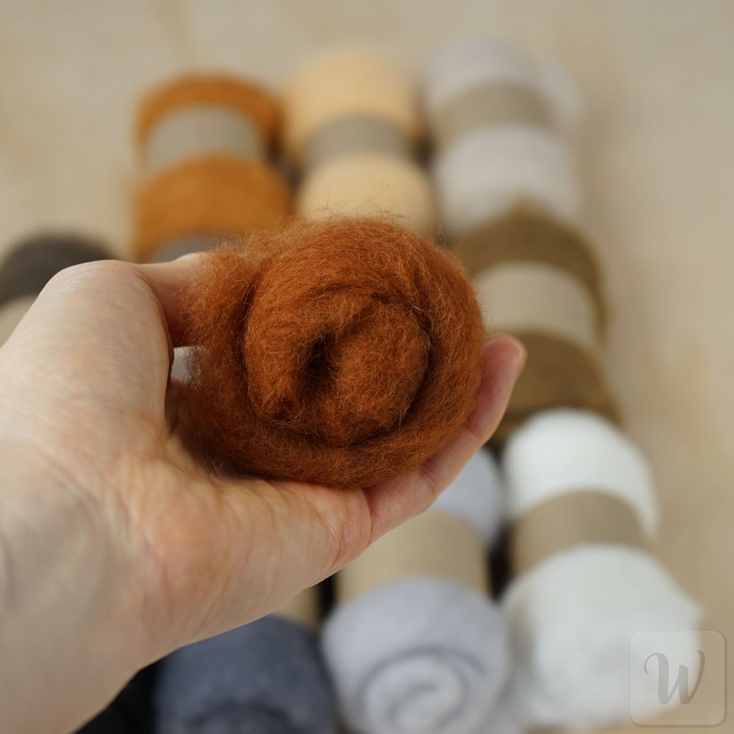 Carded Maori Felting Wool 12 Colours Set – Animal Mix / for needle and wet felting, DHG
