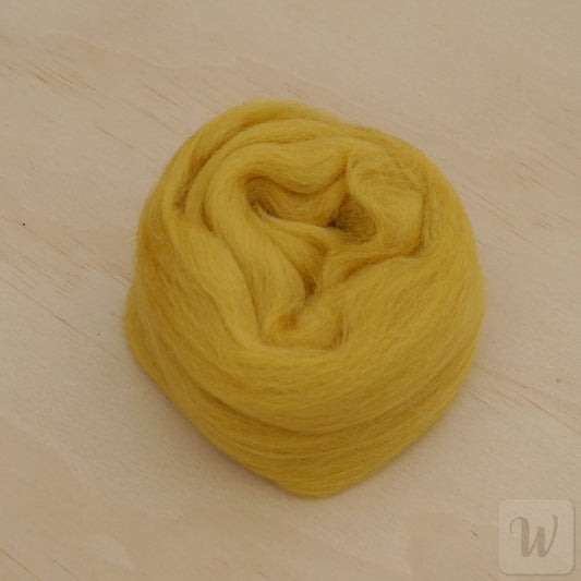 Corriedale wool tops roving in deep Fir green colour, soft smooth fibres for spinning and felting